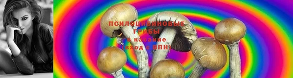 герыч Арсеньев