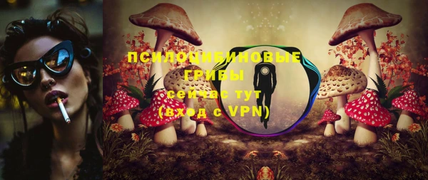 герыч Арсеньев