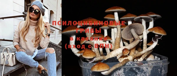 герыч Арсеньев